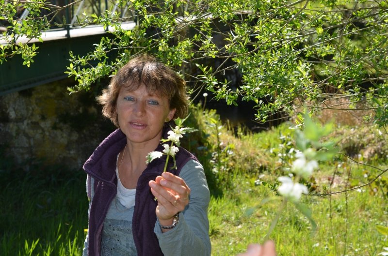 Balade botanique avec Marie-Claire Buffière, guide de pays Beaujolais